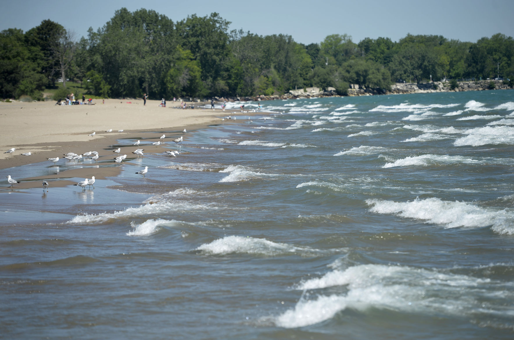 WATER SAFETY